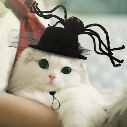 Halloween Costume Pet Hat