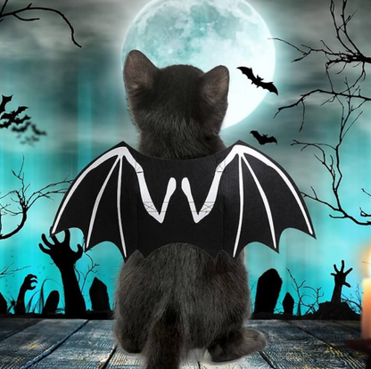 Luminous Skull Bat Wings Halloween Dog Costume