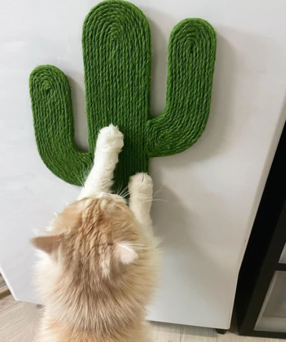 Cactus and Fish Wall Cat Scratcher