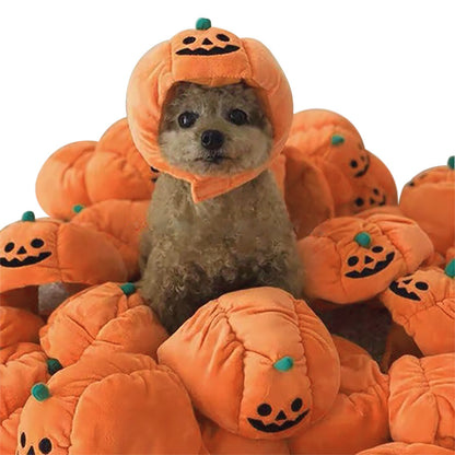 Halloween Costume Pet Hat