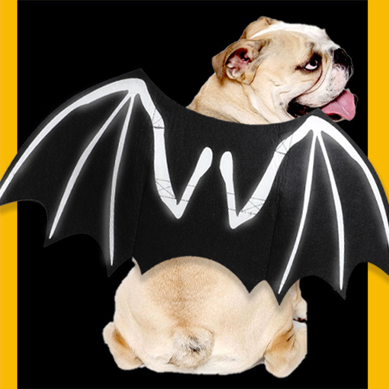 Luminous Skull Bat Wings Halloween Dog Costume