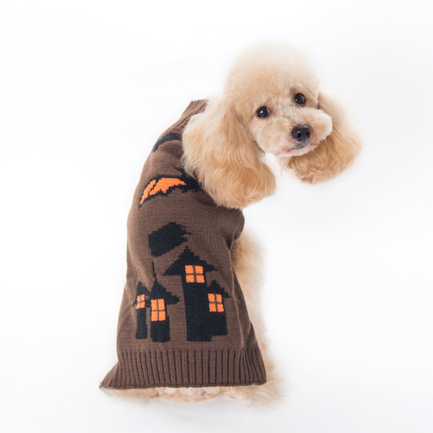 Warm & Cozy Halloween Pattern Dog Clothing