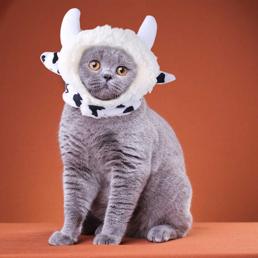 Halloween Costume Pet Hat