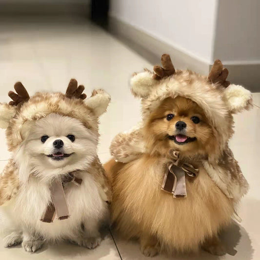 Cat Costumes & Luxury Dog Gifts