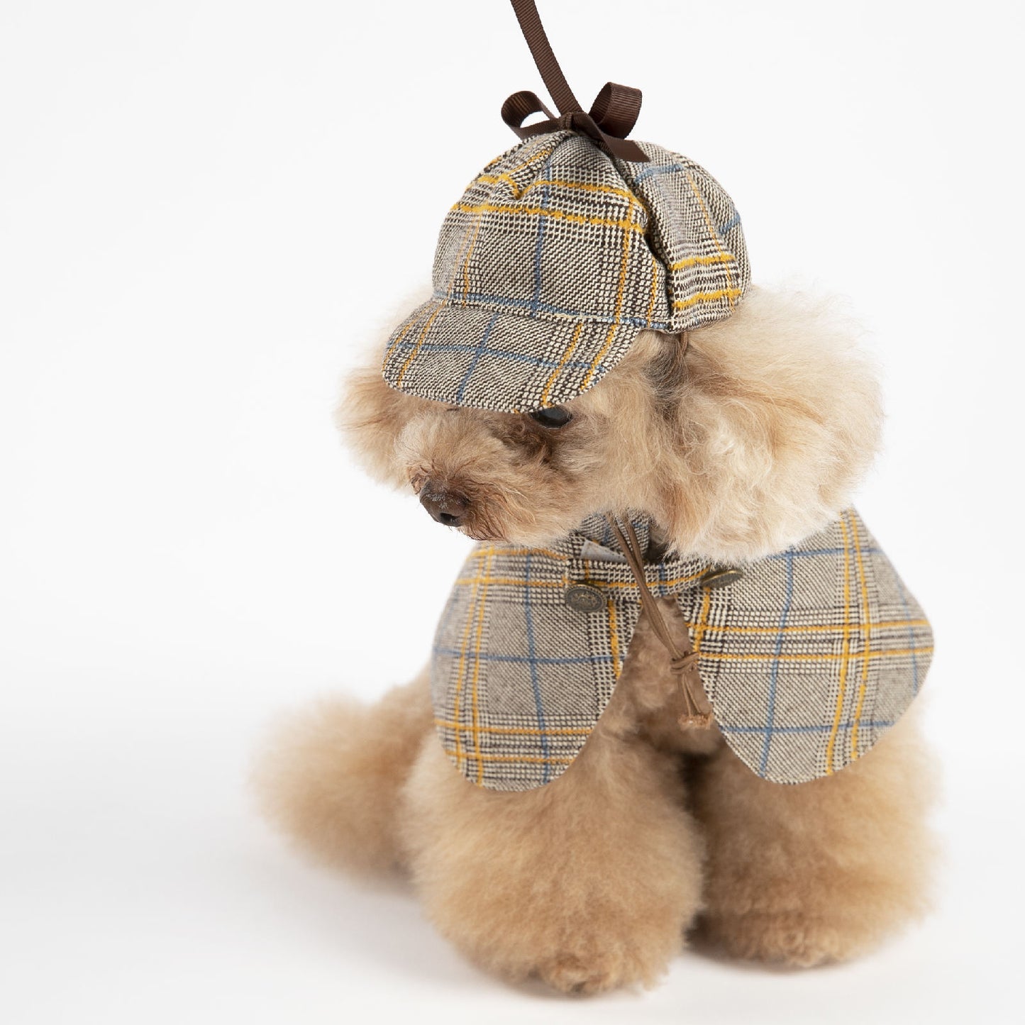 Sherlock Dog Costume