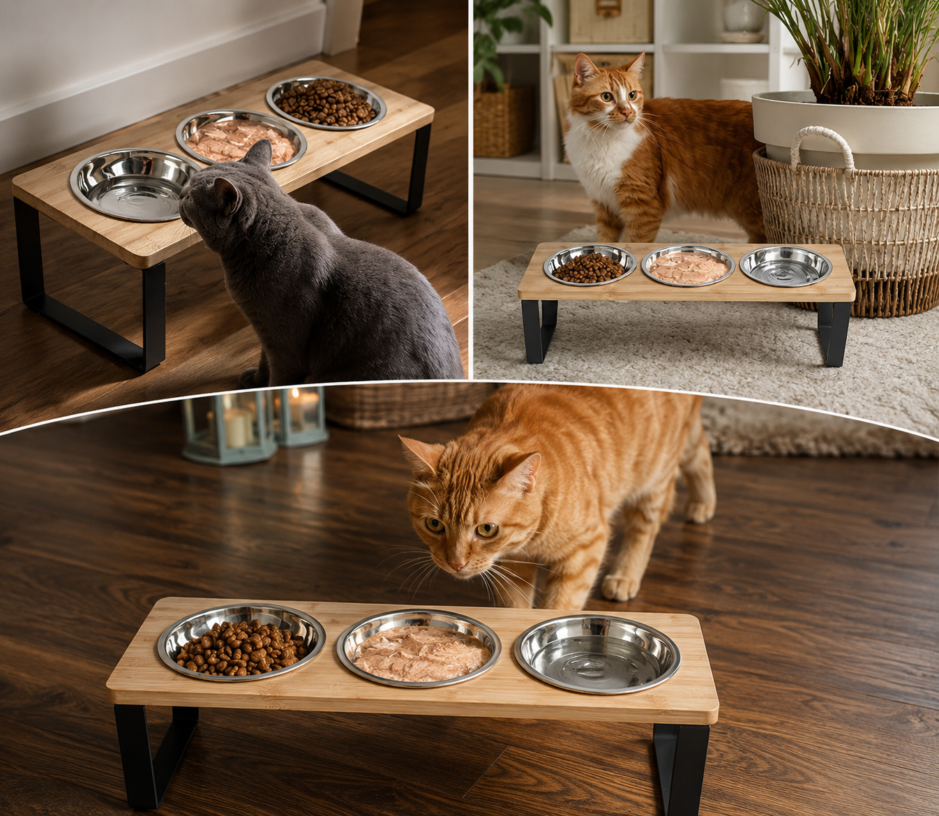 PurePurr Bowl