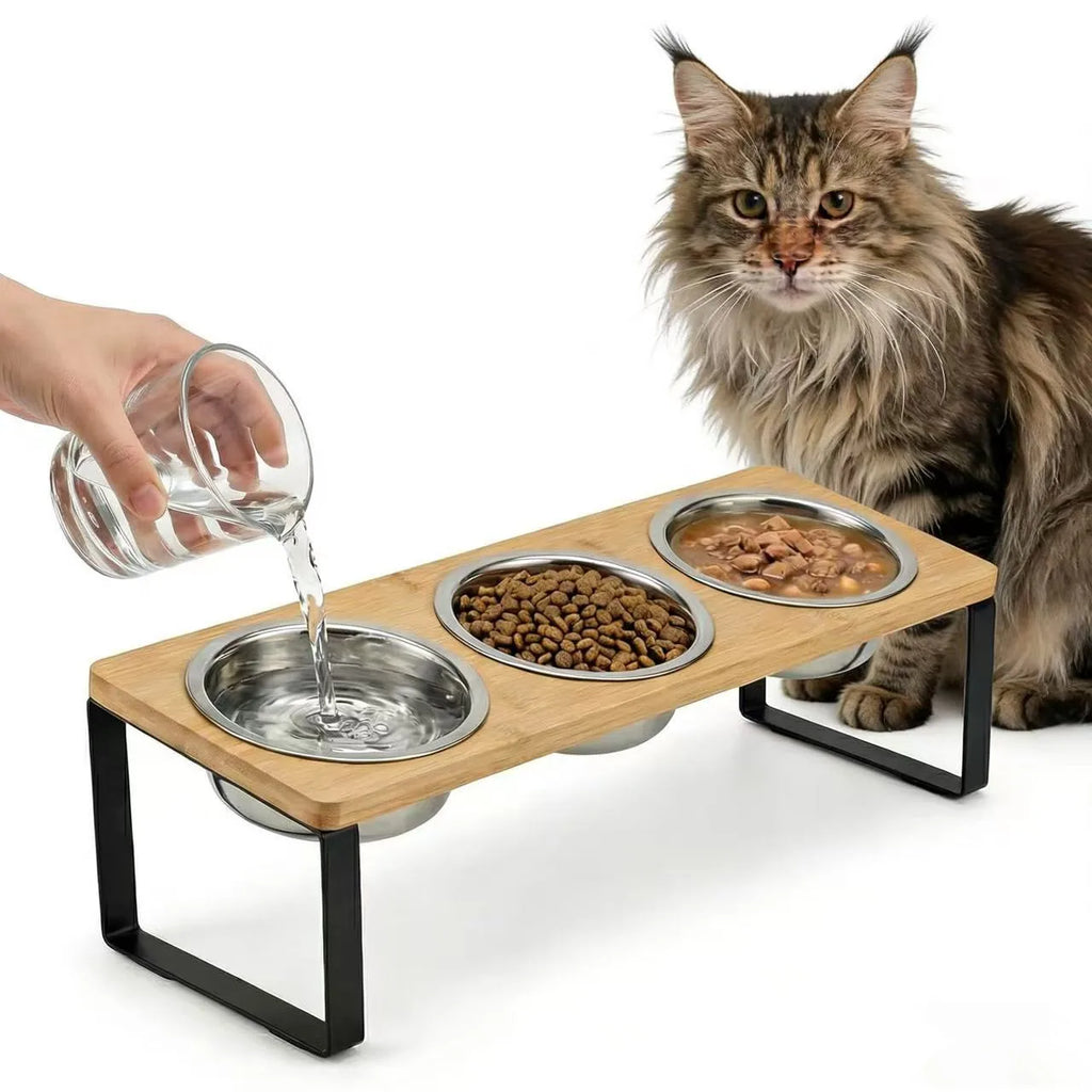 PurePurr Bowl