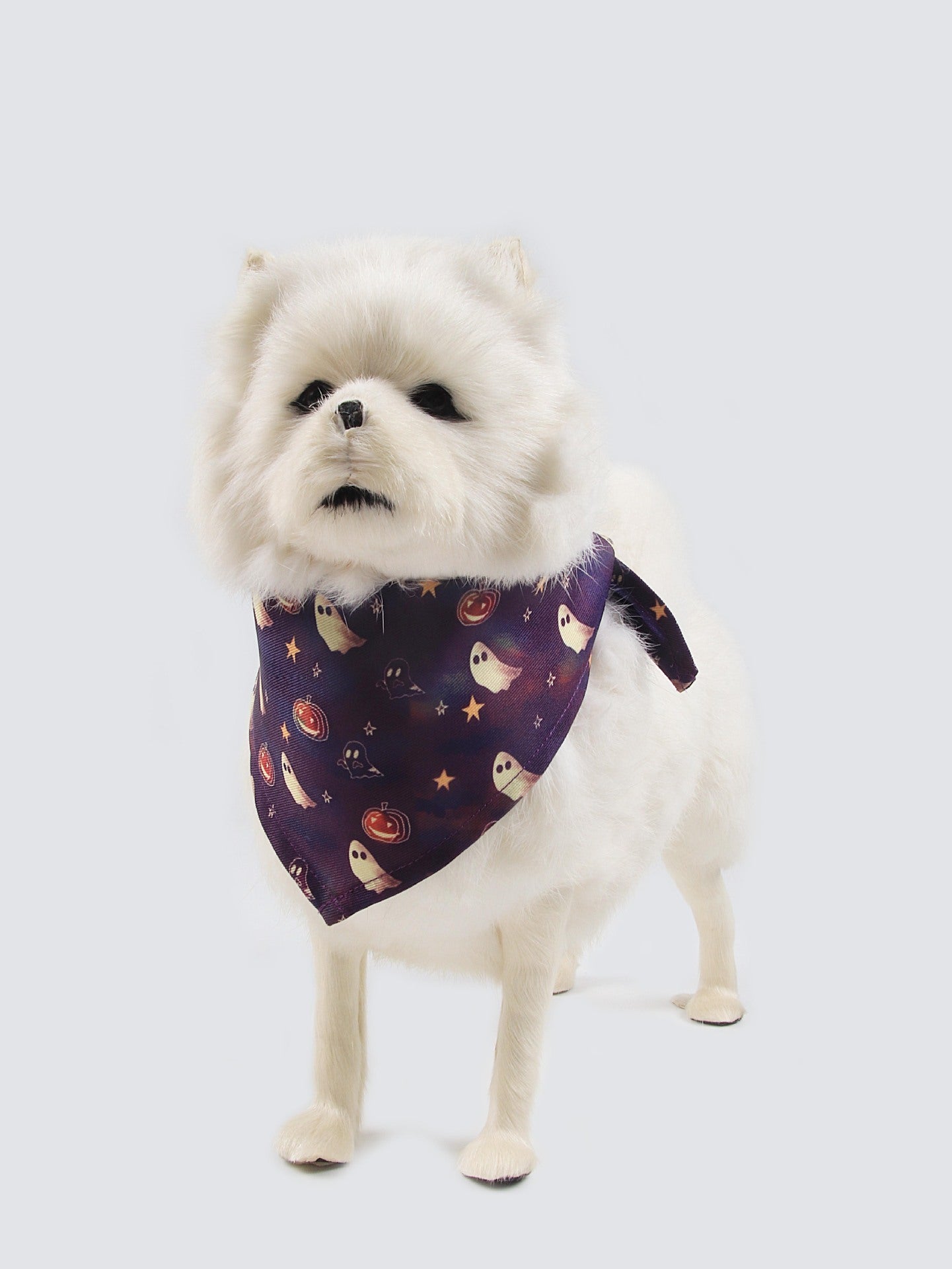 Plush Printed Halloween Pet Costume