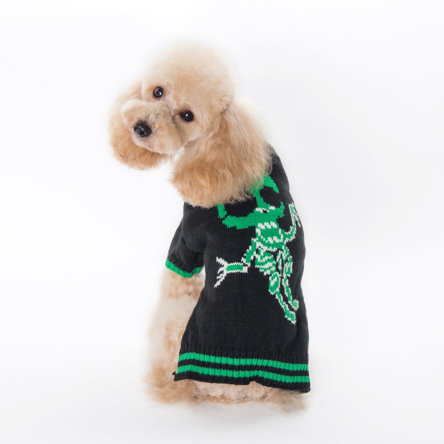 Warm & Cozy Halloween Pattern Dog Clothing