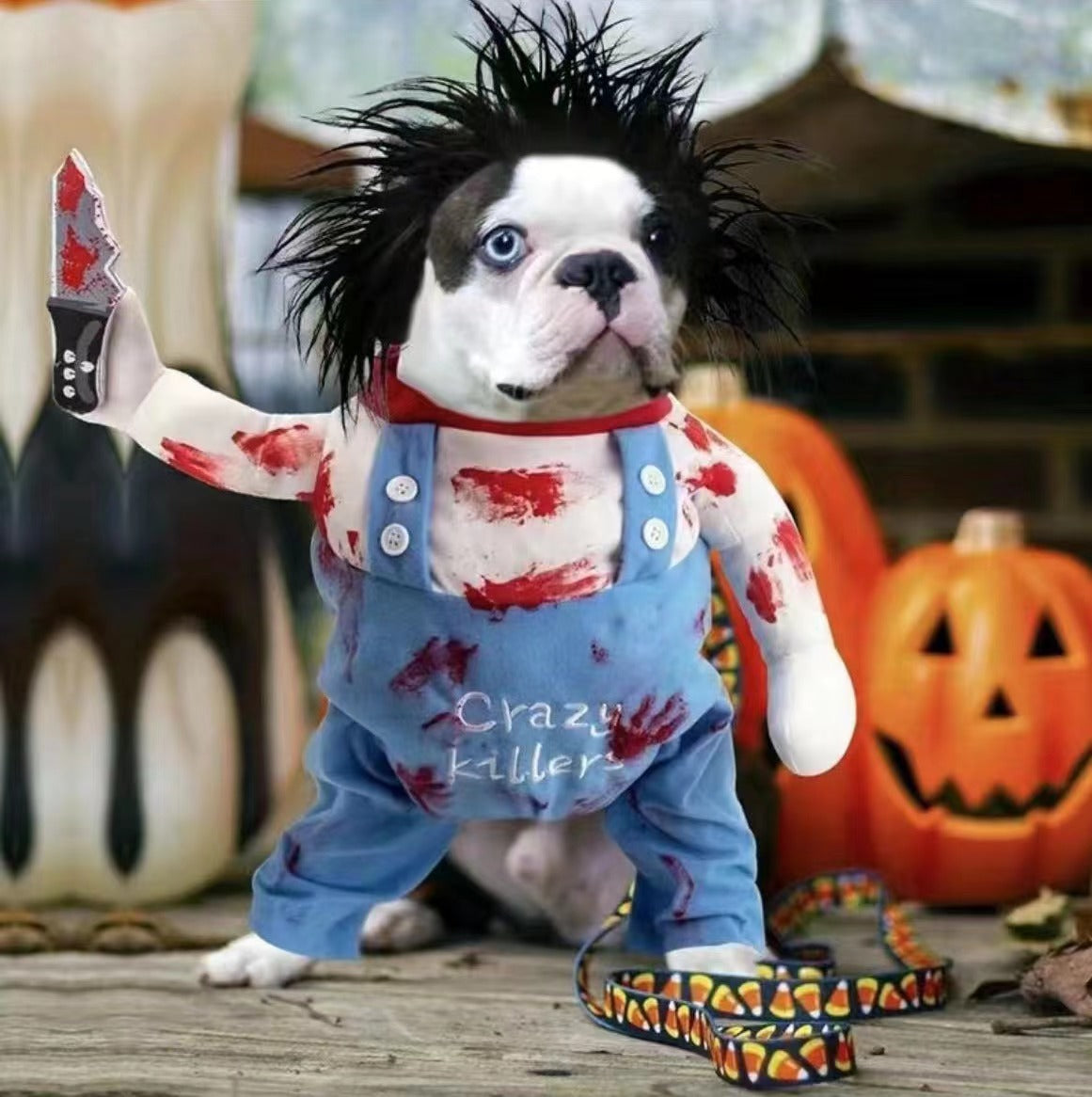 Crazy Horror Chucky Halloween Dog Costume