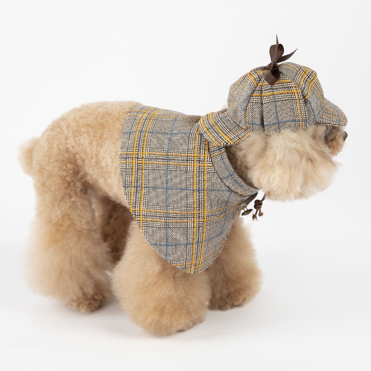 Sherlock Dog Costume