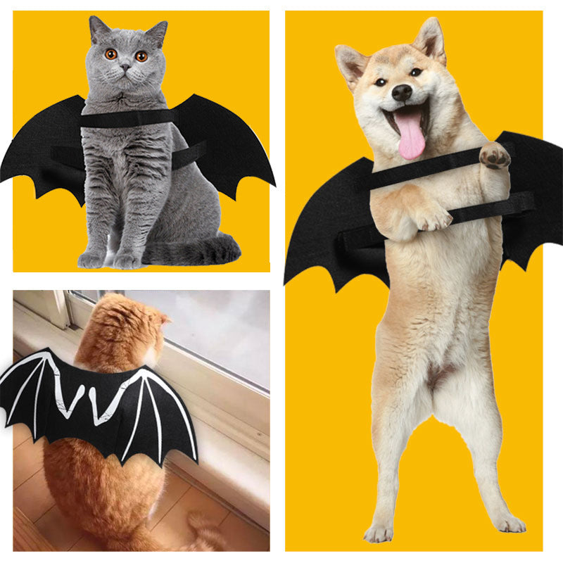 Luminous Skull Bat Wings Halloween Dog Costume