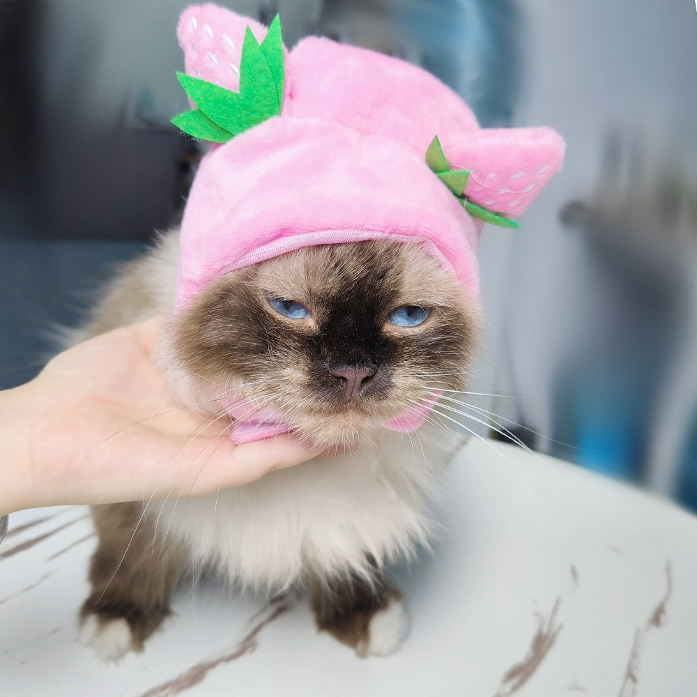 Halloween Costume Pet Hat